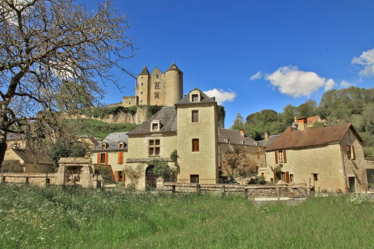 Petite Maison En Pierre Au Coeur Du Perigord Noir Salignac Eyvigues Exterior photo