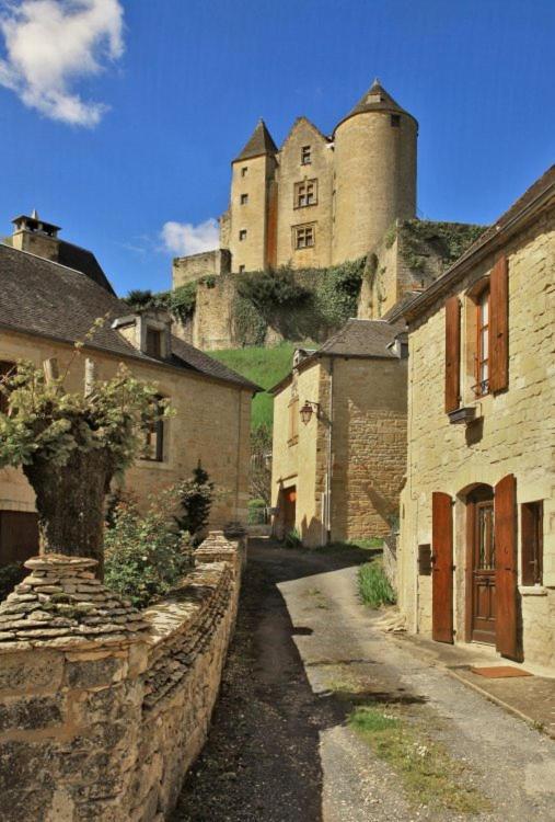 Petite Maison En Pierre Au Coeur Du Perigord Noir Salignac Eyvigues Exterior photo